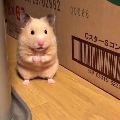 Ác Nữ Trùng Sinh: Tổng Tài, Đến Lượt Anh Rồi!