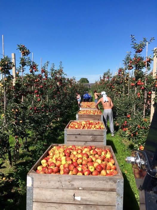 Giá Của Lòng Tham