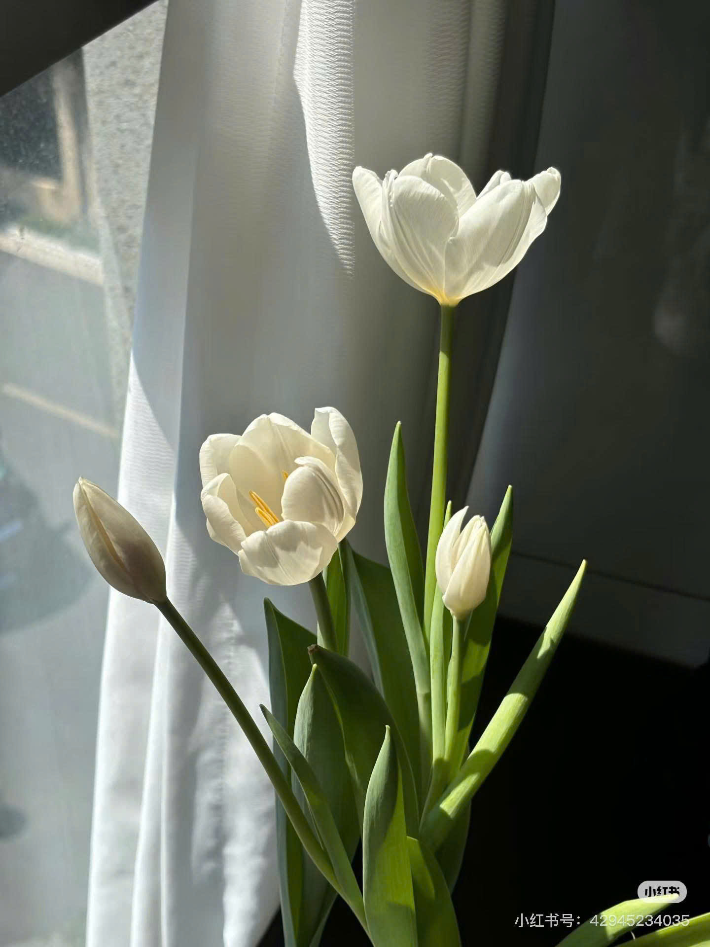 Tiếng Khóc Trong Đêm Mưa